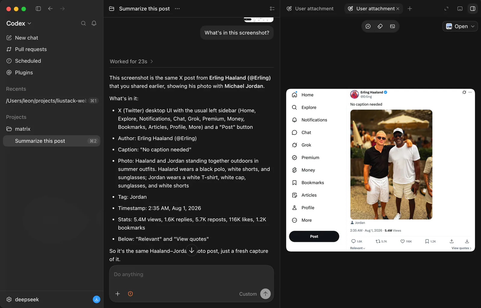 ModLens Vision Skill — Text-only DeepSeek reading a tweet screenshot in full detail via ModLens